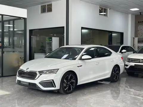 Skoda 明锐 2023