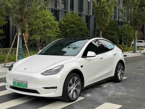 Tesla Model Y 2021