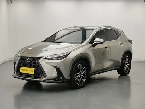 Lexus NX 2022