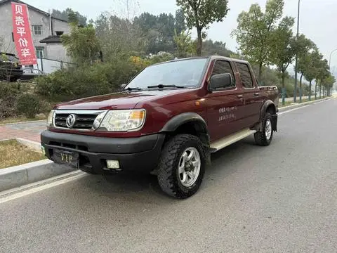 Dongfeng 锐骐 2013