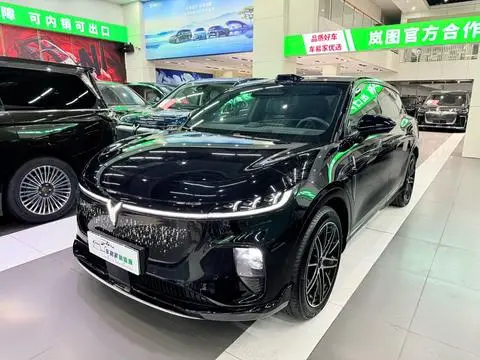 Voyah 知音 2025