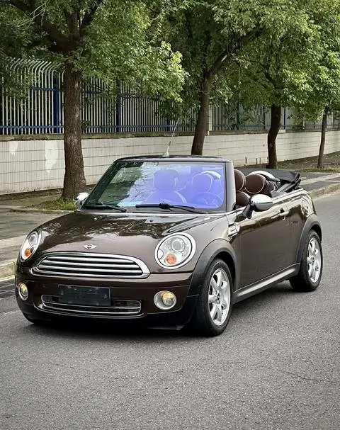 MINI MINI 2009