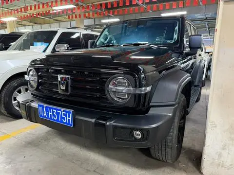 TANK 300 2024