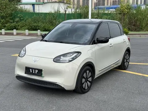 Wuling Bingo 2023