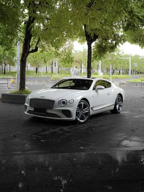 Bentley 欧陆 2022