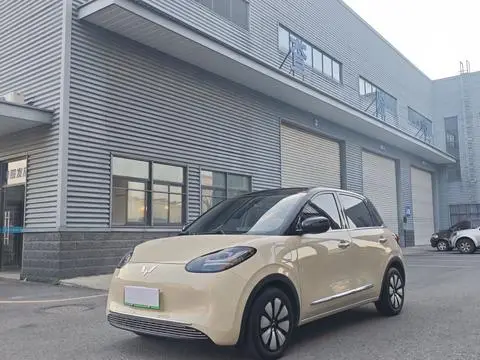 Wuling Bingo 2025