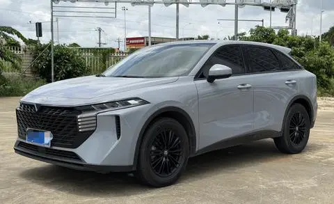 Venucia 大V 2022