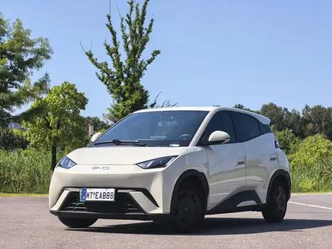 BYD Seagull 2024