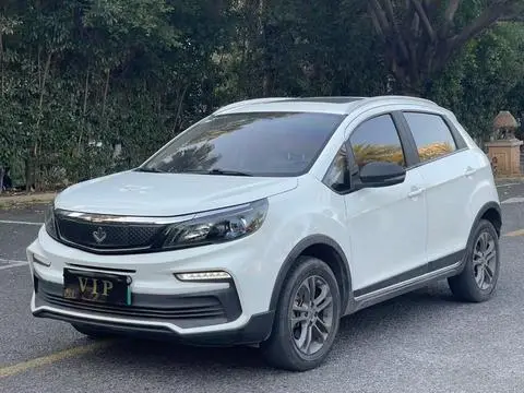 LIVAN (Ruilan) 枫叶30X 2020