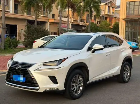 Lexus NX 2020 — фото 1