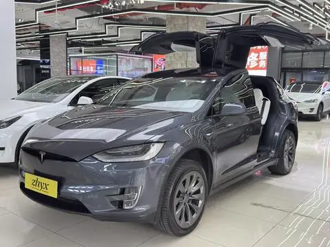 Tesla Model X 2019