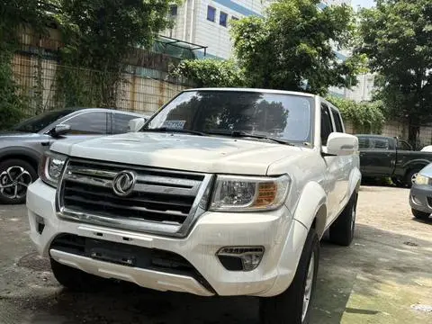 Dongfeng 锐骐 2019