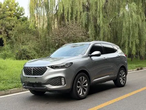 Wey VV6 2020