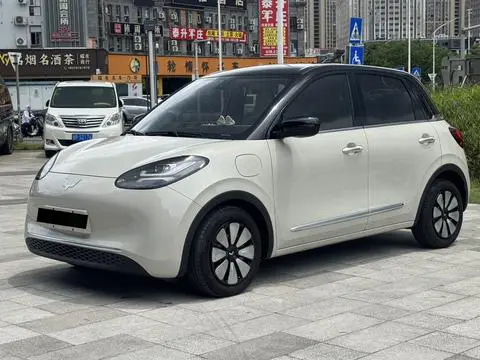Wuling Bingo 2024