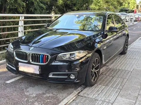 BMW 5 Series 2014