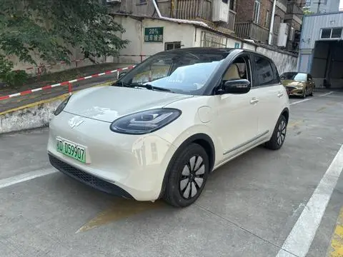 Wuling Bingo 2024