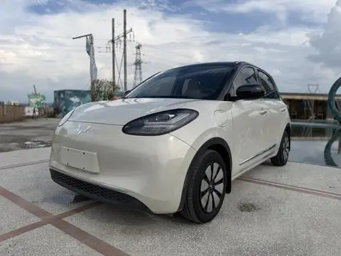 Wuling Bingo 2024