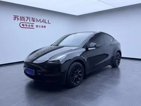 Tesla Model Y 2021 — фото 1