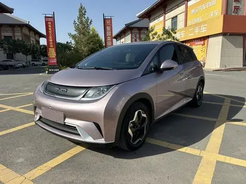 BYD Dolphin 2021