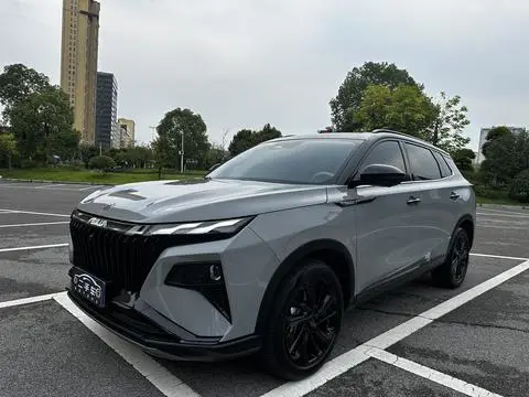 Dongfeng 皓极 2022