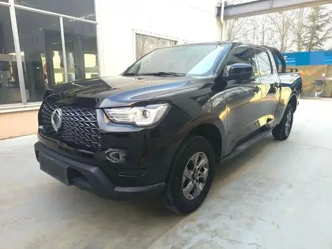 Great Wall 炮 2021