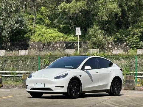Tesla Model Y 2024 — фото 1