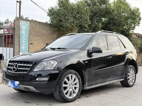 Mercedes-Benz M-Class 2010