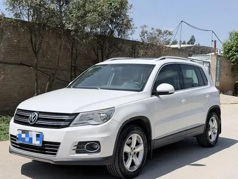 Volkswagen Tiguan 2010