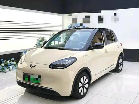 Wuling Bingo 2025
