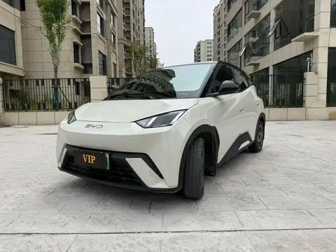 BYD Seagull 2025