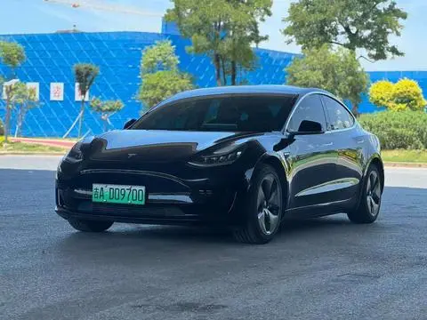 Tesla Model 3 2020