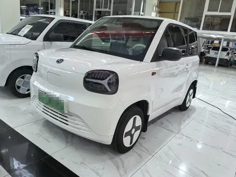 Zhidou 彩虹 2025