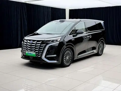 Denza D9 DM 2025