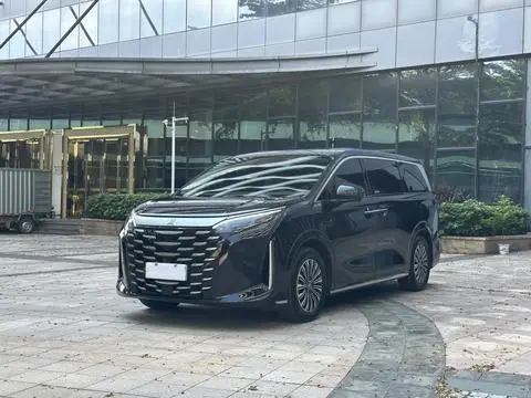 BYD 夏 2025