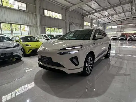 BYD 海狮06EV 2025