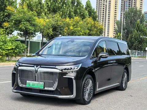 Voyah 梦想家 PHEV 2025