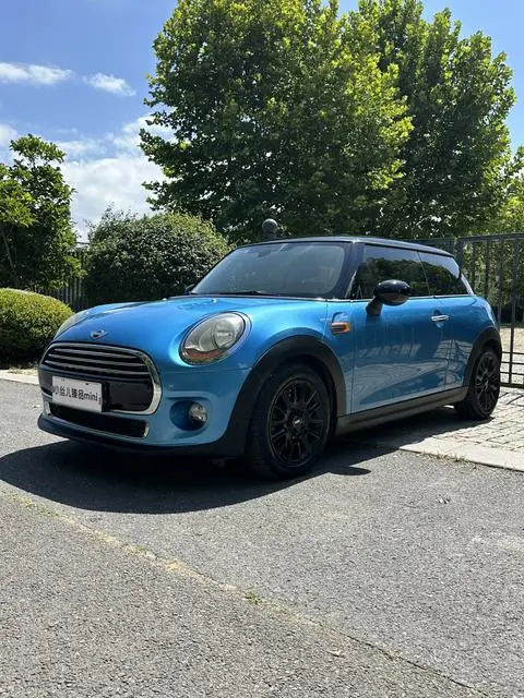 MINI MINI 2014