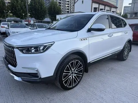 Leopaard Mattu 2018