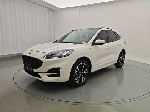 Ford 锐际 2019