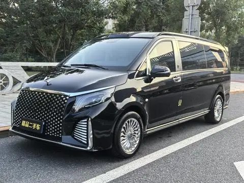 Mercedes-Benz 威霆 2023