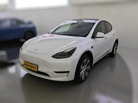 Tesla Model Y 2021