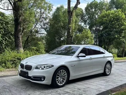 BMW 5 Series 2014 — фото 1
