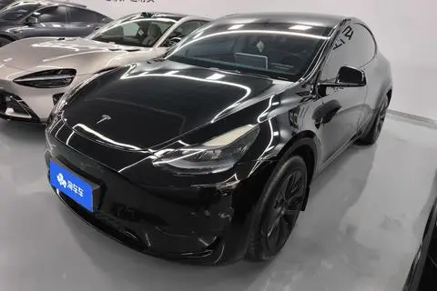 Tesla Model Y 2023 — фото 1