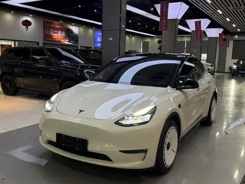 Tesla Model Y 2021 — фото 1