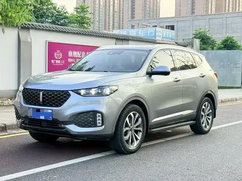 Wey VV6 2020