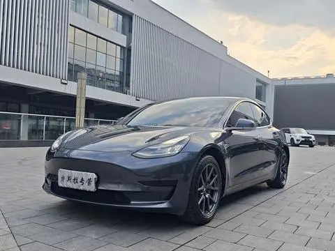 Tesla Model 3 2020
