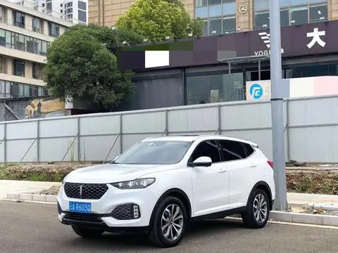 Wey VV6 2020