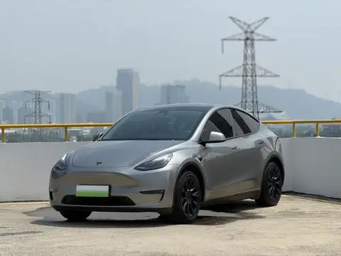 Tesla Model Y 2021