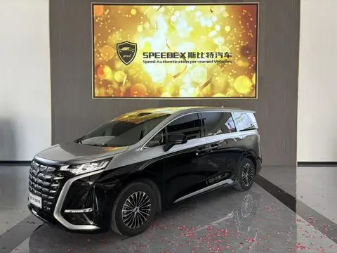 Denza D9 DM 2024