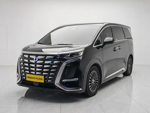Denza D9 DM 2022